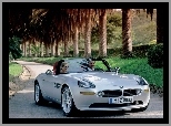 Palmy, BMW Z8